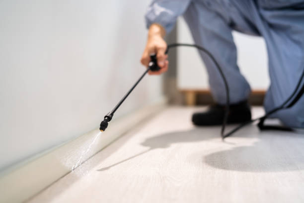 Rodent Entry Point Assessment in Elk Mound