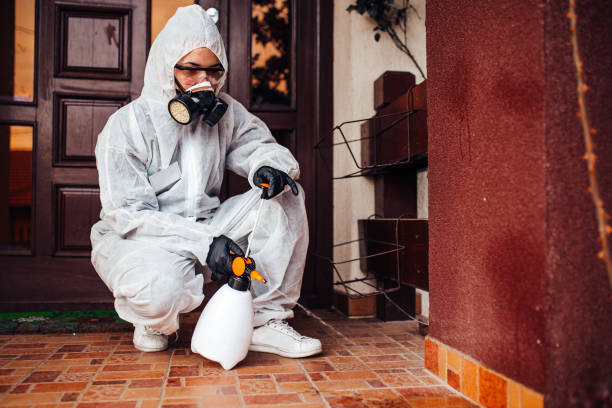 Attic and Crawl Space Rodent Treatment in Elk Mound