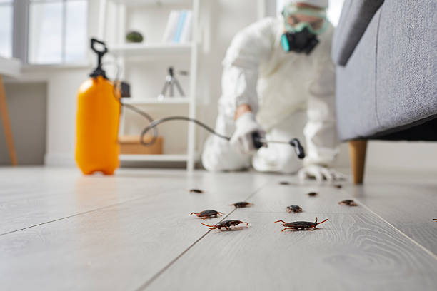 Commercial Rodent Management in Elk Mound